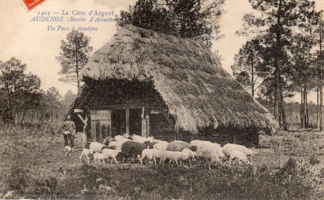 Sur les chemins d'Audenge