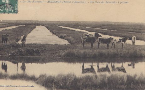 Sur les chemins d'Audenge