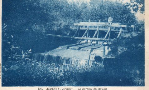 Sur les chemins d'Audenge